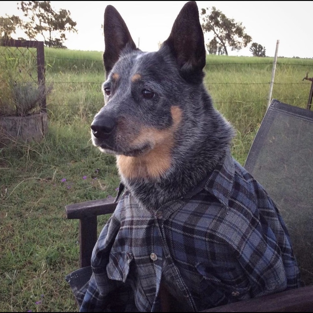 Meet your Posher, Steven